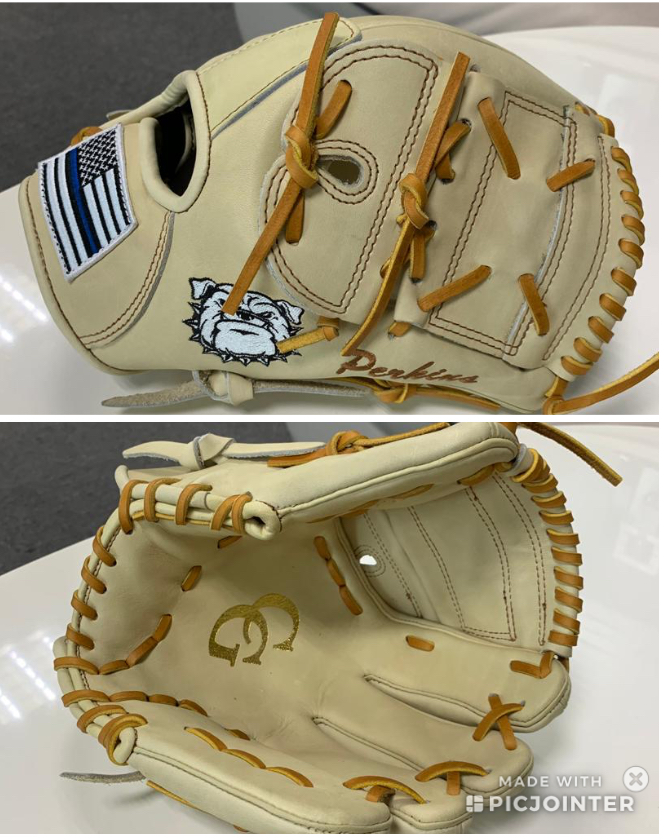 Custom Gloves for Baseball and Softball